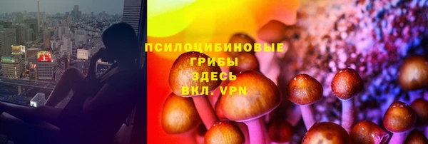 прущая мука Баксан