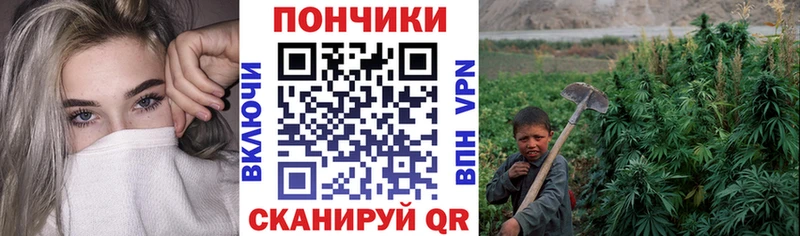 Купить закладки  Троицк  МАРИХУАНА Bruce Banner 